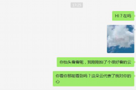 偃师专业讨债公司，追讨消失的老赖